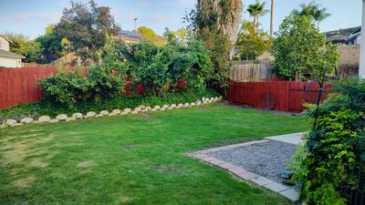 Large fenced backyard with fruit trees